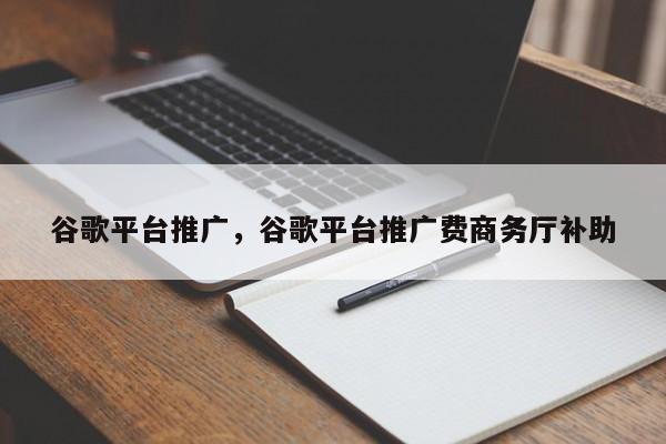 谷歌平台推广，谷歌平台推广费商务厅补助
