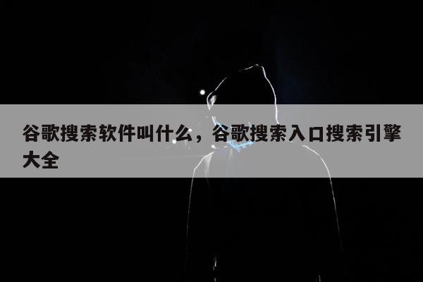 谷歌搜索软件叫什么	，谷歌搜索入口搜索引擎大全