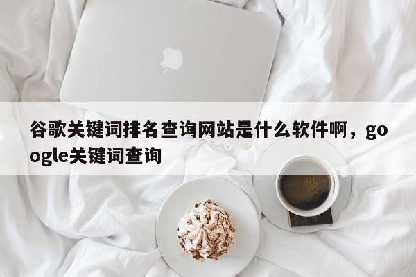谷歌关键词排名查询网站是什么软件啊	，google关键词查询