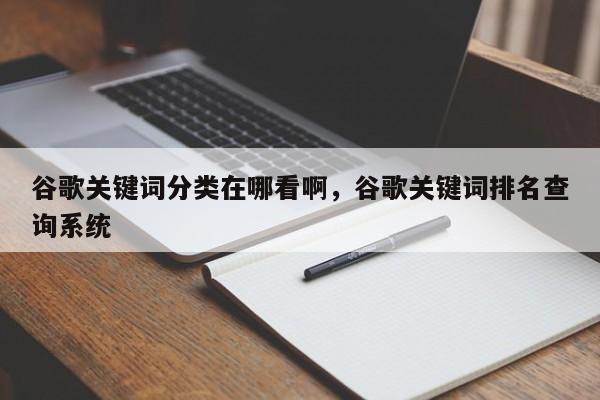 谷歌关键词分类在哪看啊，谷歌关键词排名查询系统