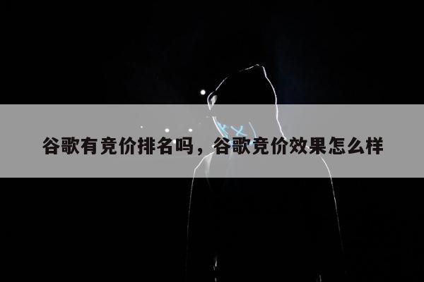 谷歌有竞价排名吗，谷歌竞价效果怎么样