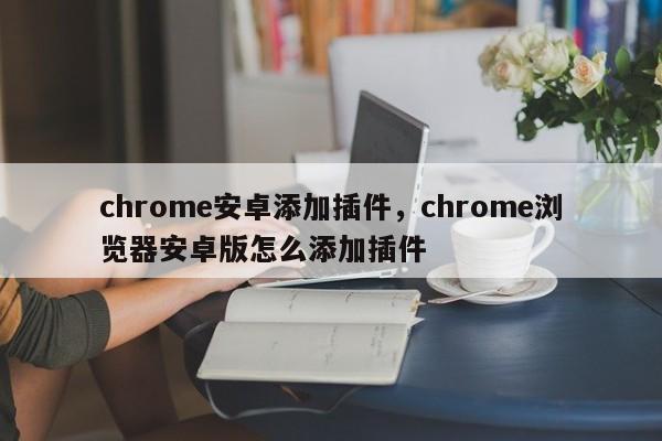 chrome安卓添加插件，chrome浏览器安卓版怎么添加插件
