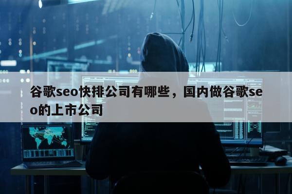 谷歌seo快排公司有哪些，国内做谷歌seo的上市公司