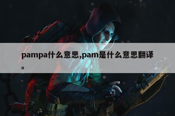 pampa什么意思,pam是什么意思翻译	。