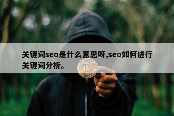 关键词seo是什么意思呀,seo如何进行关键词分析。