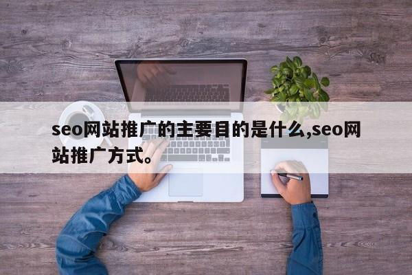 seo网站推广的主要目的是什么,seo网站推广方式。