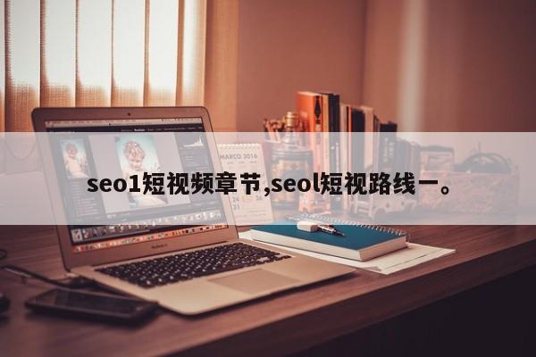 seo1短视频章节,seol短视路线一	。