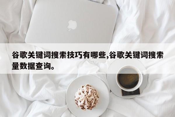 谷歌关键词搜索技巧有哪些,谷歌关键词搜索量数据查询	。