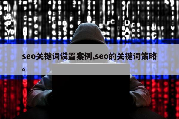 seo关键词设置案例,seo的关键词策略。