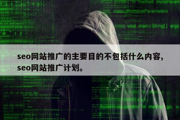 seo网站推广的主要目的不包括什么内容,seo网站推广计划。