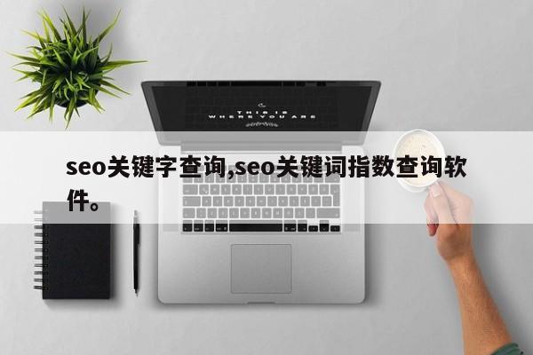seo关键字查询,seo关键词指数查询软件。