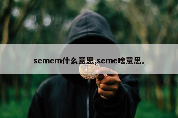 semem什么意思,seme啥意思。