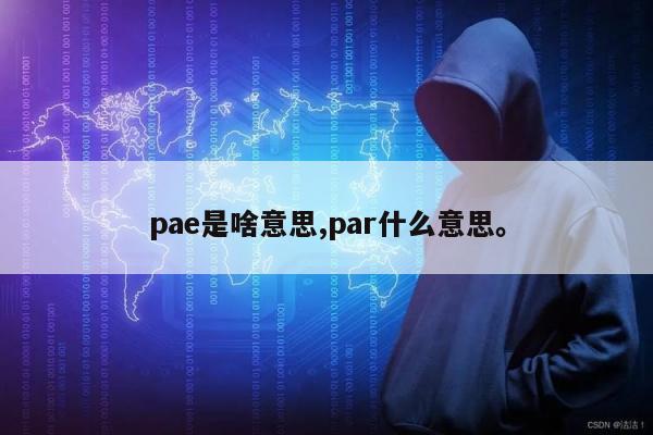 pae是啥意思,par什么意思	。