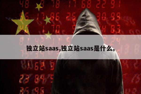 独立站saas,独立站saas是什么。