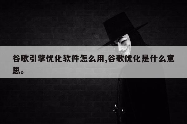 谷歌引擎优化软件怎么用,谷歌优化是什么意思。
