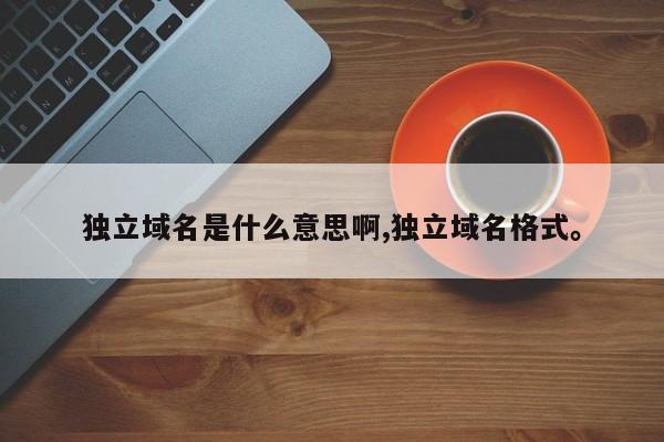 独立域名是什么意思啊,独立域名格式。