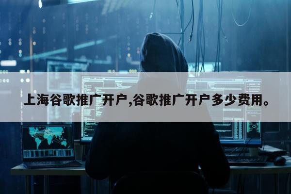 上海谷歌推广开户,谷歌推广开户多少费用	。