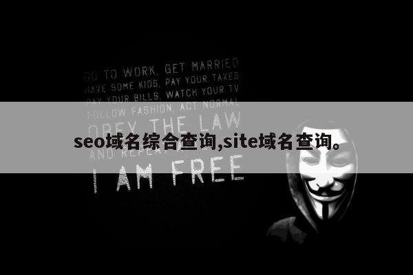 seo域名综合查询,site域名查询	。