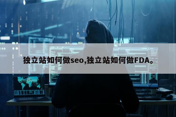 独立站如何做seo,独立站如何做FDA。