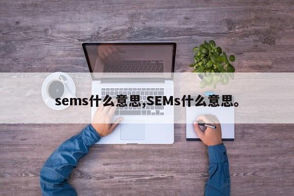 sems什么意思,SEMs什么意思。