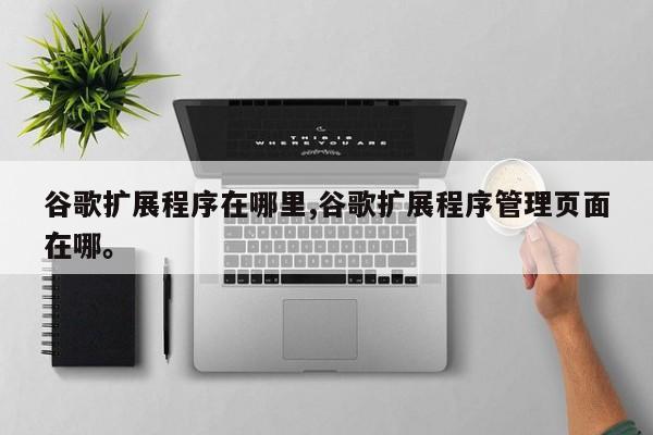 谷歌扩展程序在哪里,谷歌扩展程序管理页面在哪	。