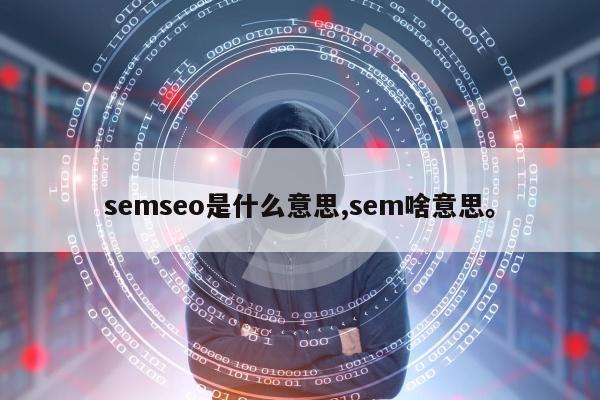 semseo是什么意思,sem啥意思。