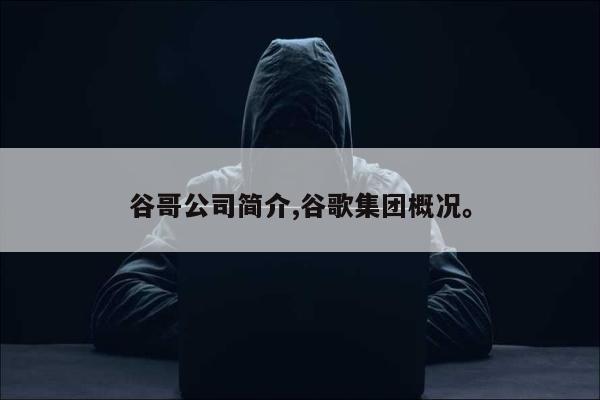 谷哥公司简介,谷歌集团概况。