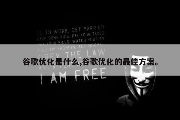 谷歌优化是什么,谷歌优化的最佳方案。