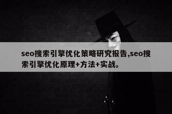 seo搜索引擎优化策略研究报告,seo搜索引擎优化原理+方法+实战。