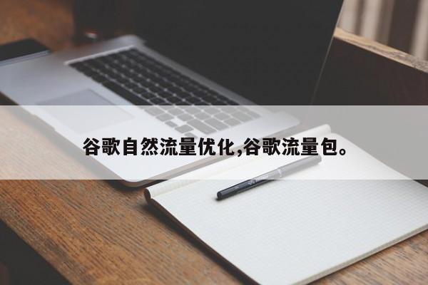 谷歌自然流量优化,谷歌流量包。