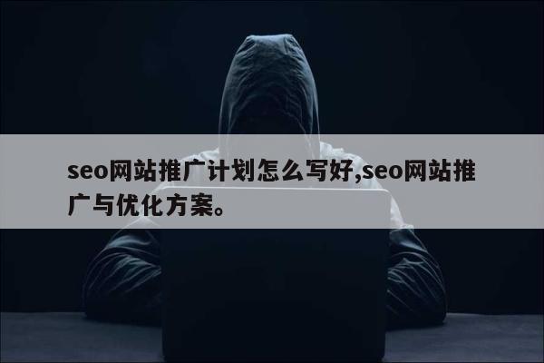 seo网站推广计划怎么写好,seo网站推广与优化方案。