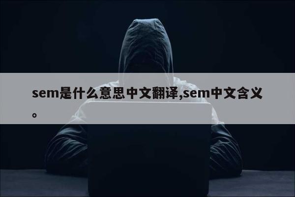 sem是什么意思中文翻译,sem中文含义。