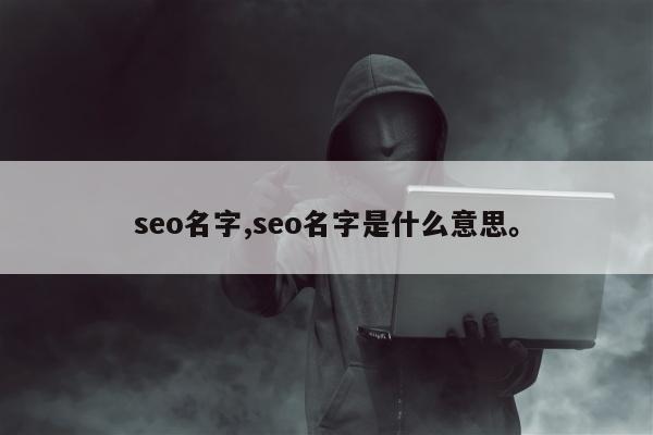 seo名字,seo名字是什么意思。