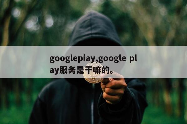 googlepiay,google play服务是干嘛的。