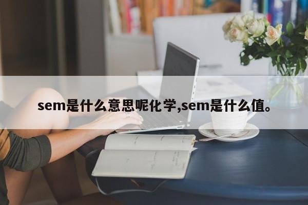 sem是什么意思呢化学,sem是什么值。