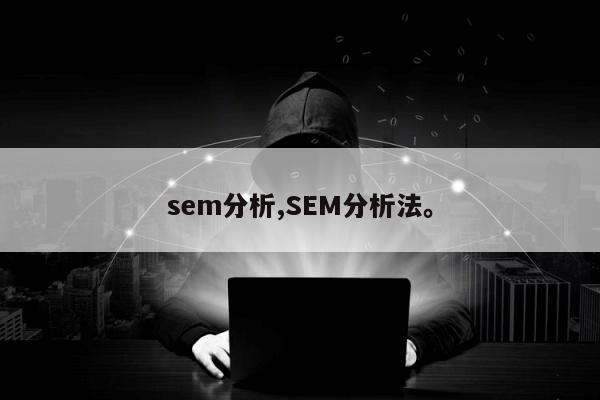 sem分析,SEM分析法。