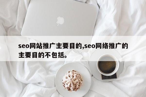 seo网站推广主要目的,seo网络推广的主要目的不包括	。