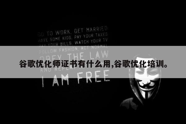 谷歌优化师证书有什么用,谷歌优化培训。