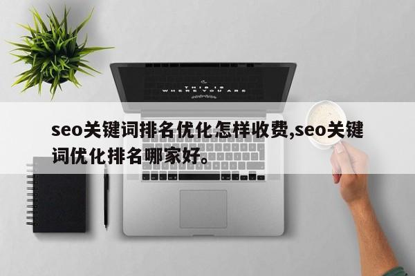 seo关键词排名优化怎样收费,seo关键词优化排名哪家好。