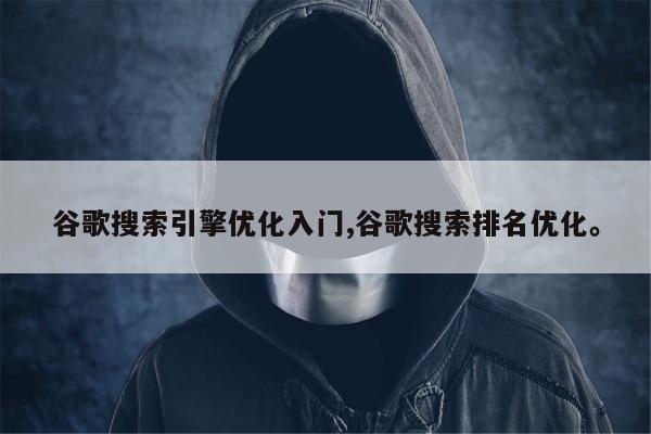 谷歌搜索引擎优化入门,谷歌搜索排名优化。