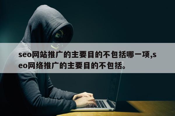 seo网站推广的主要目的不包括哪一项,seo网络推广的主要目的不包括。