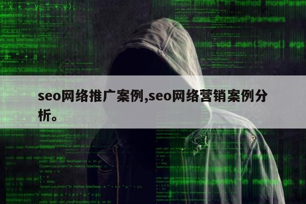 seo网络推广案例,seo网络营销案例分析。