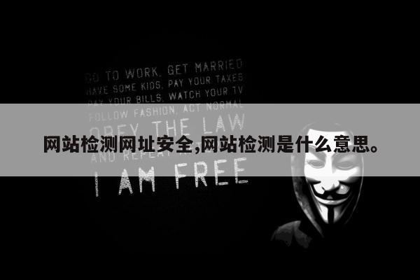 网站检测网址安全,网站检测是什么意思	。