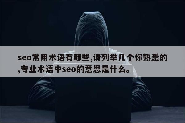 seo常用术语有哪些,请列举几个你熟悉的,专业术语中seo的意思是什么。