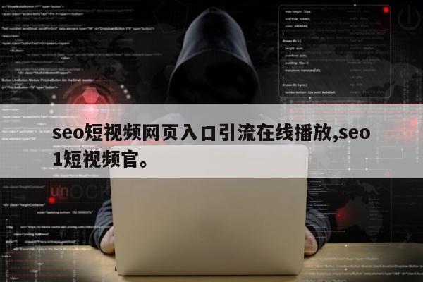 seo短视频网页入口引流在线播放,seo1短视频官	。
