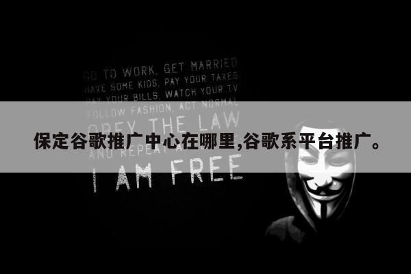 保定谷歌推广中心在哪里,谷歌系平台推广。