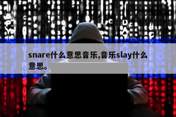 snare什么意思音乐,音乐slay什么意思。