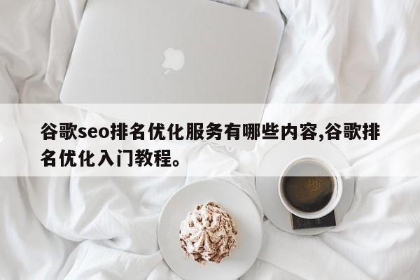谷歌seo排名优化服务有哪些内容,谷歌排名优化入门教程。