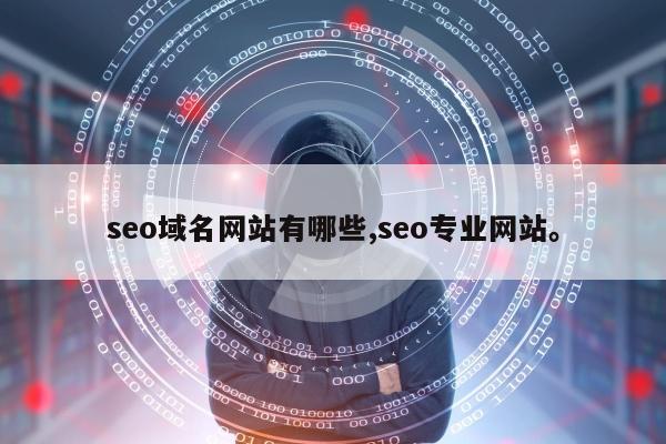 seo域名网站有哪些,seo专业网站。