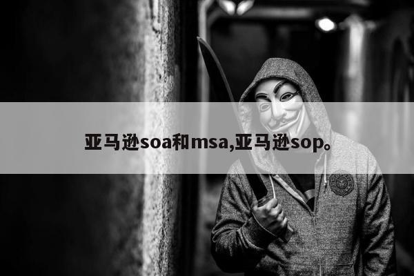 亚马逊soa和msa,亚马逊sop	。